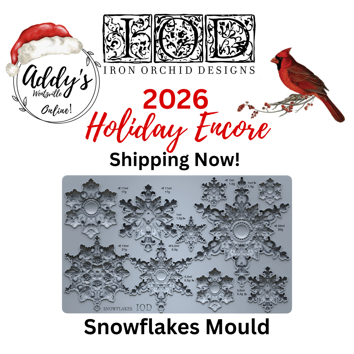 Snowflakes IOD 6"x 10" Mould
