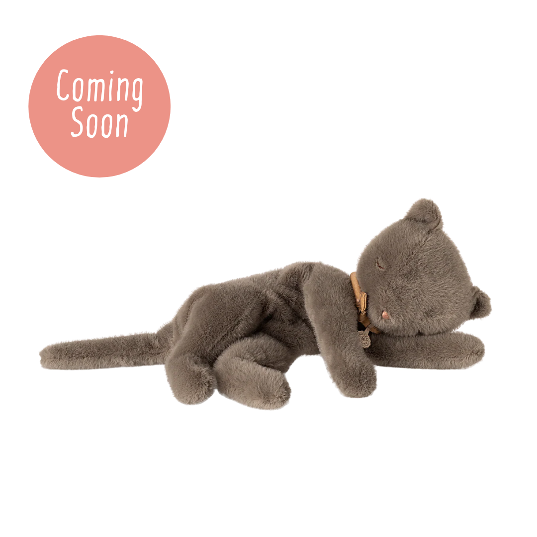 Sleeping Kitten Plush, Medium