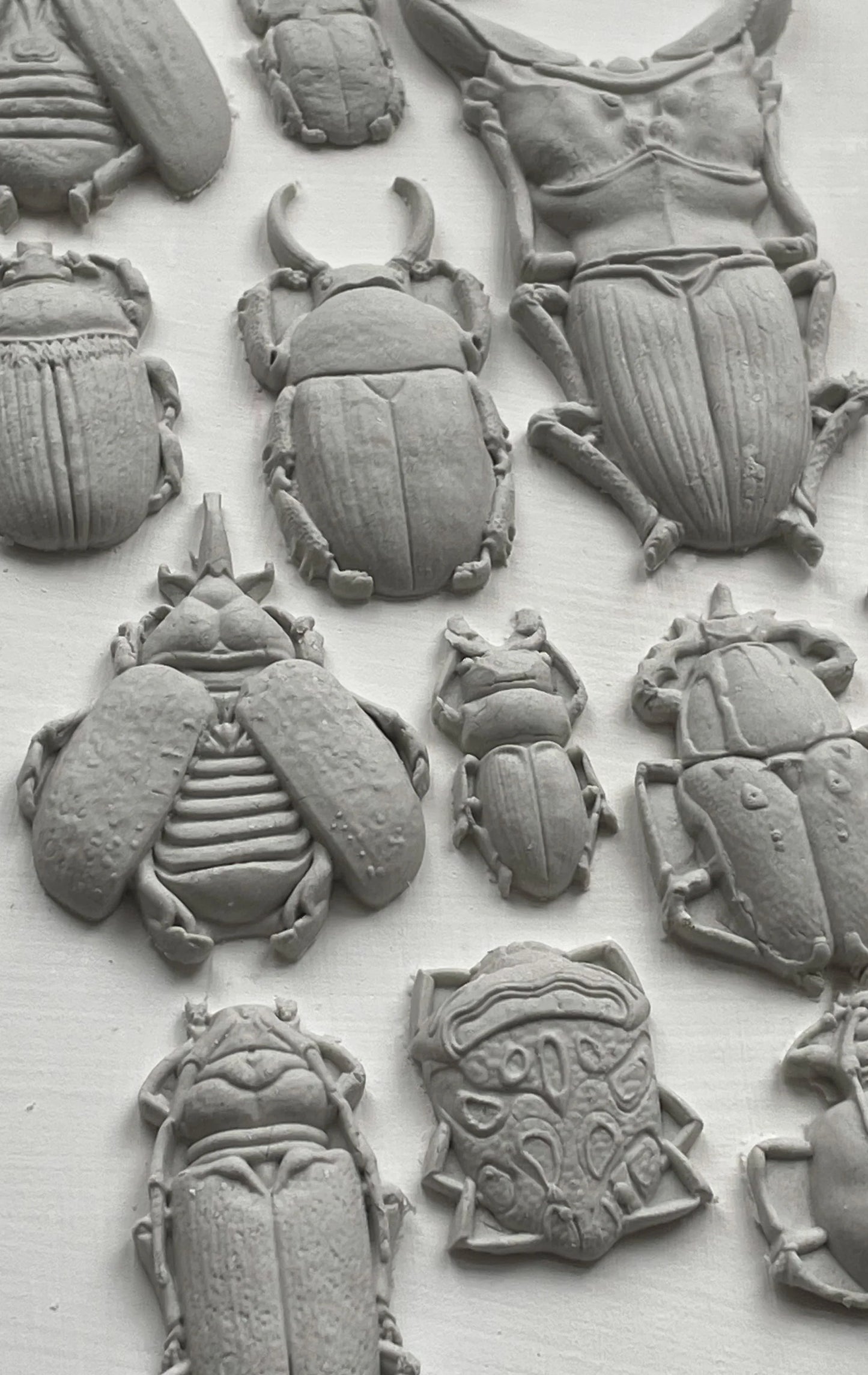 Specimens 6x10 IOD Mould