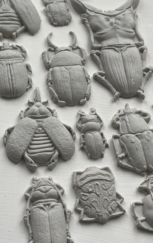 Specimens IOD 6"x 10" Mould