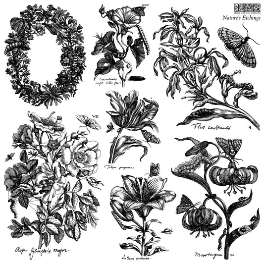 Nature's Etching IOD 12"x 12" Stamp