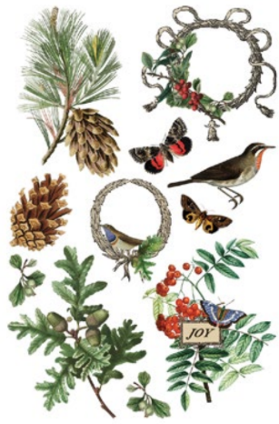 Winter Botanist Transfer