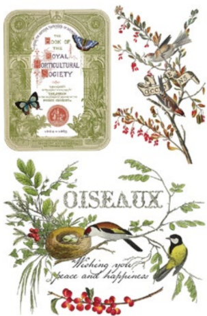 Winter Botanist Transfer