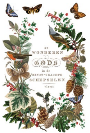 Winter Botanist Transfer