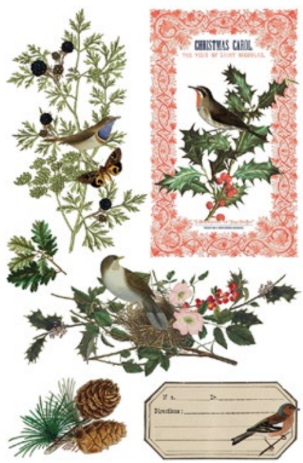Winter Botanist Transfer