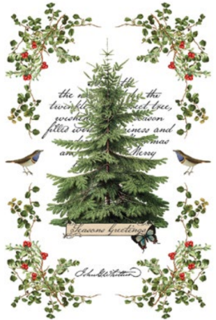 Winter Botanist Transfer