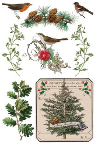 Winter Botanist Transfer