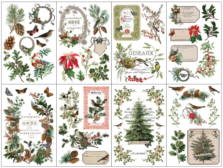 Winter Botanist Transfer
