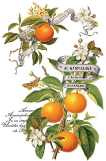 Clementine Transfer