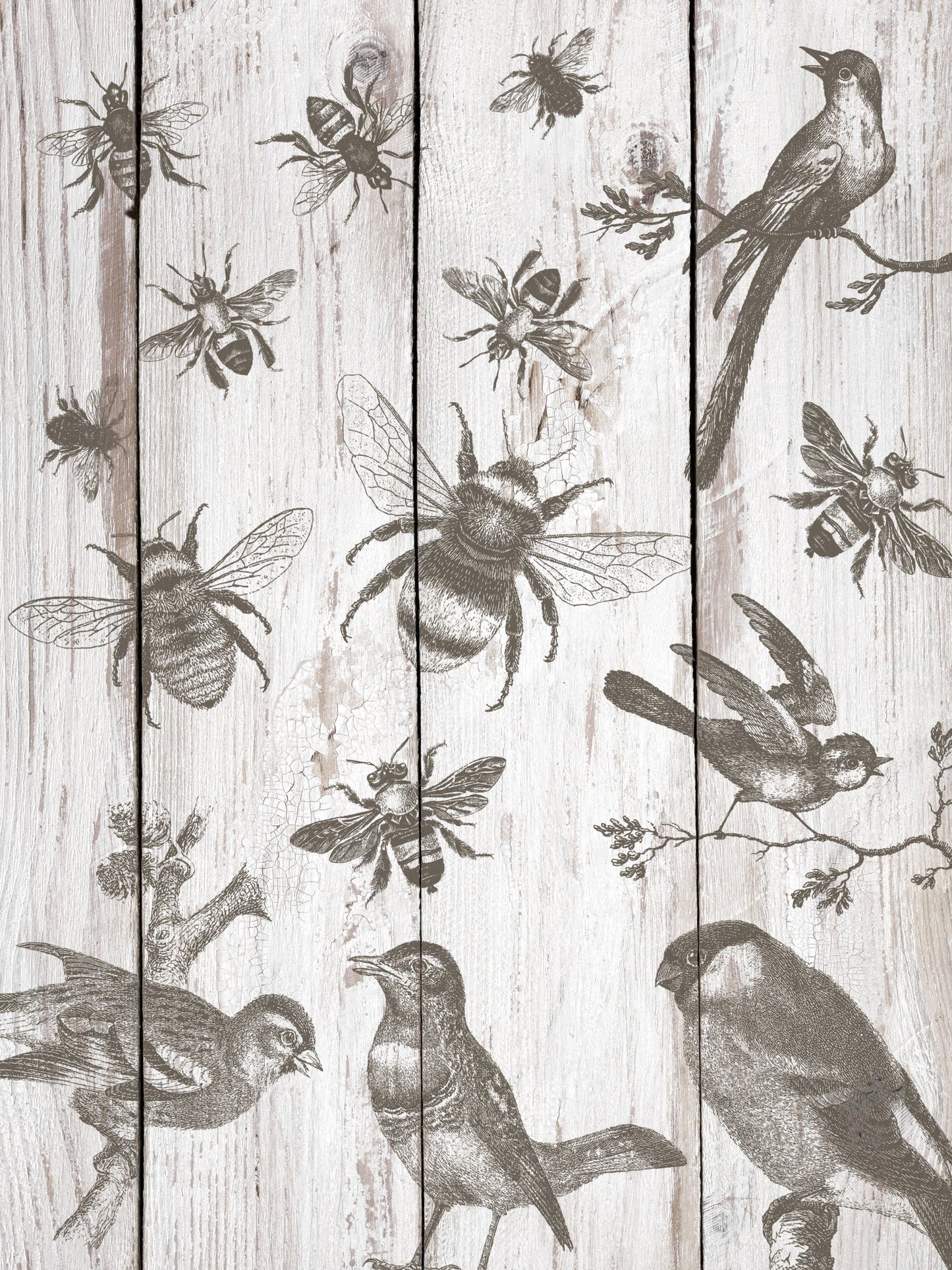 Birds & Bees 12x12 IOD Stamp
