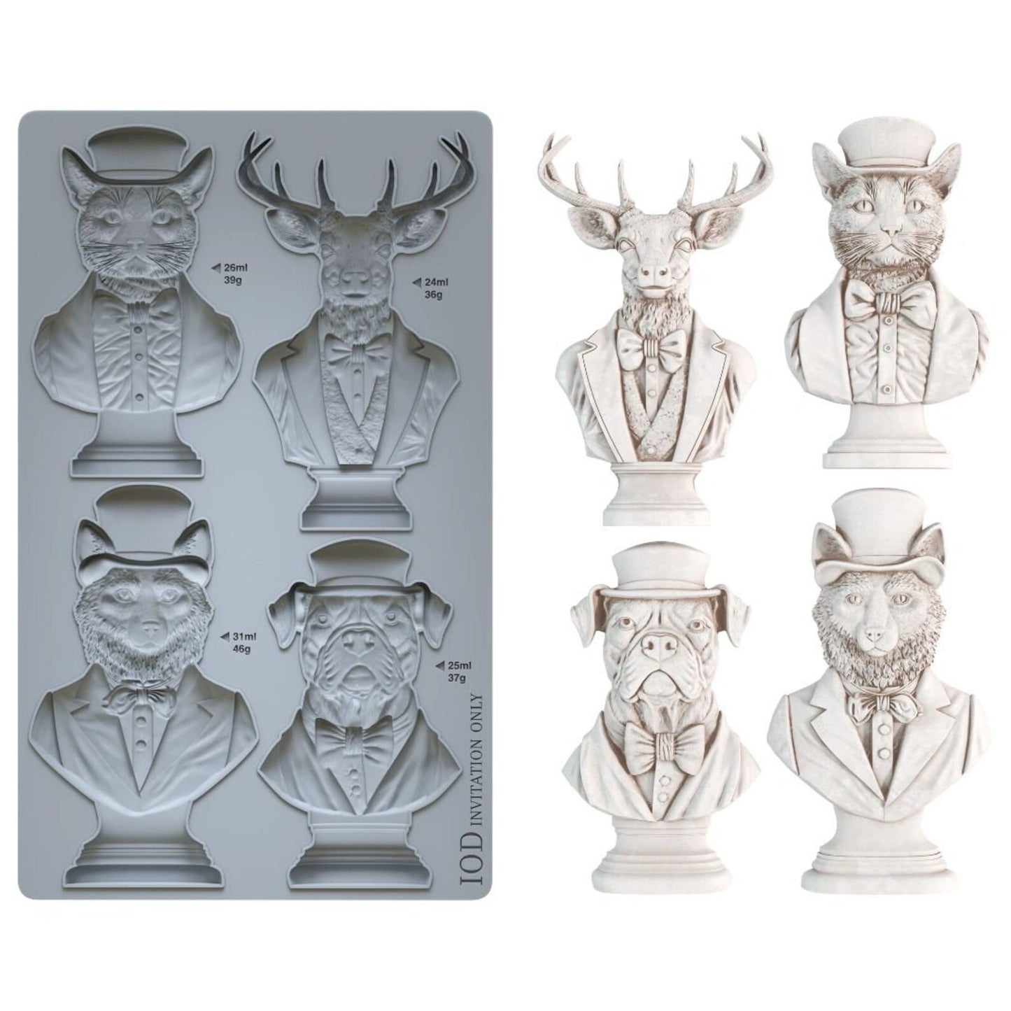 Invitation Only 6x10 IOD Mould
