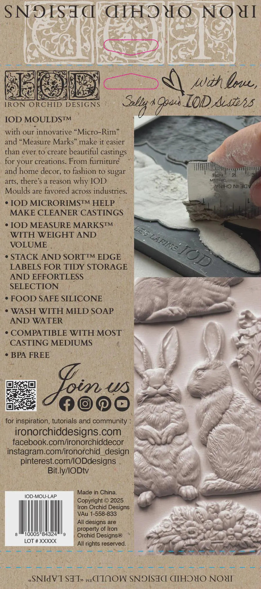 Les Lapin IOD 6"x 10" Mould