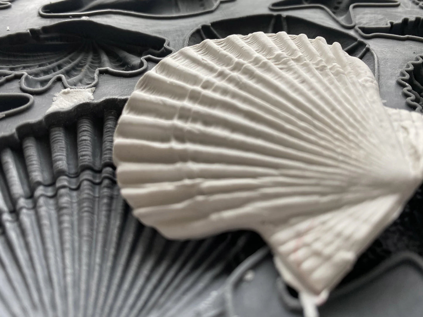 Sea Shells 6x10 IOD Mould