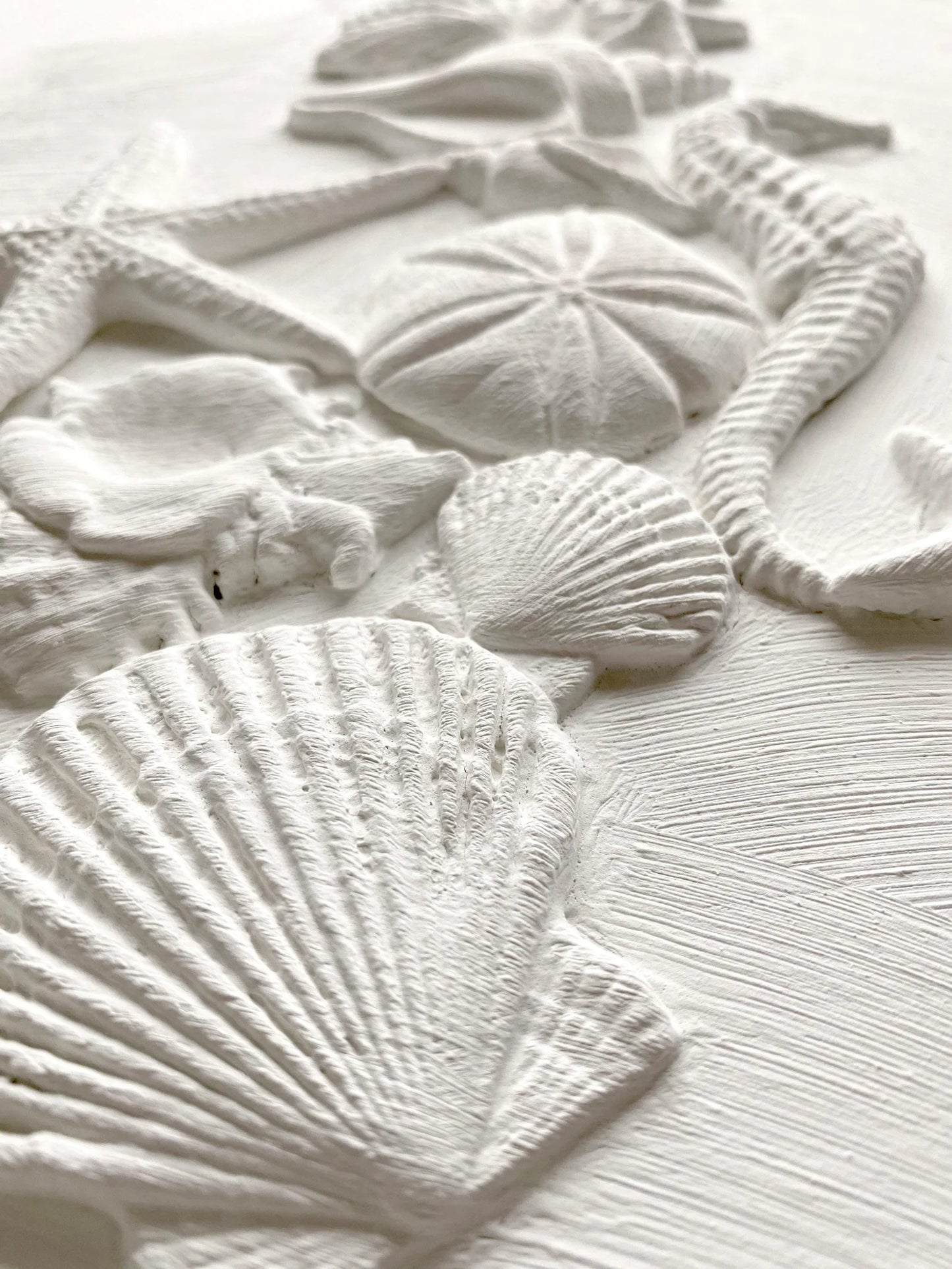 Sea Shells 6x10 IOD Mould