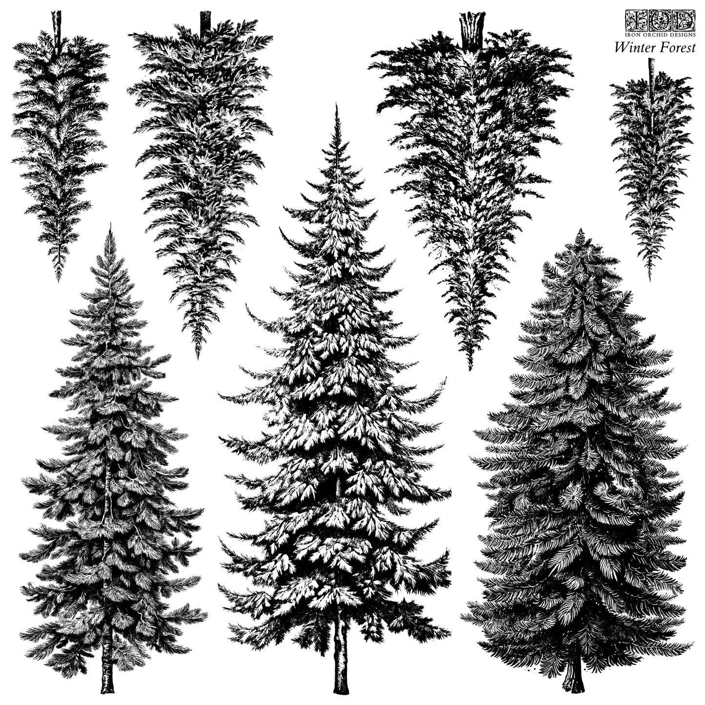 Winter Forest 12x12 IOD Stamp (Retired)