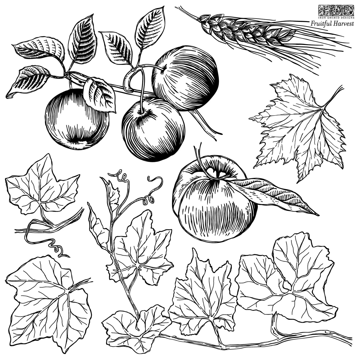 Fruitful Harvest 12x12 IOD Stamp (Retired)