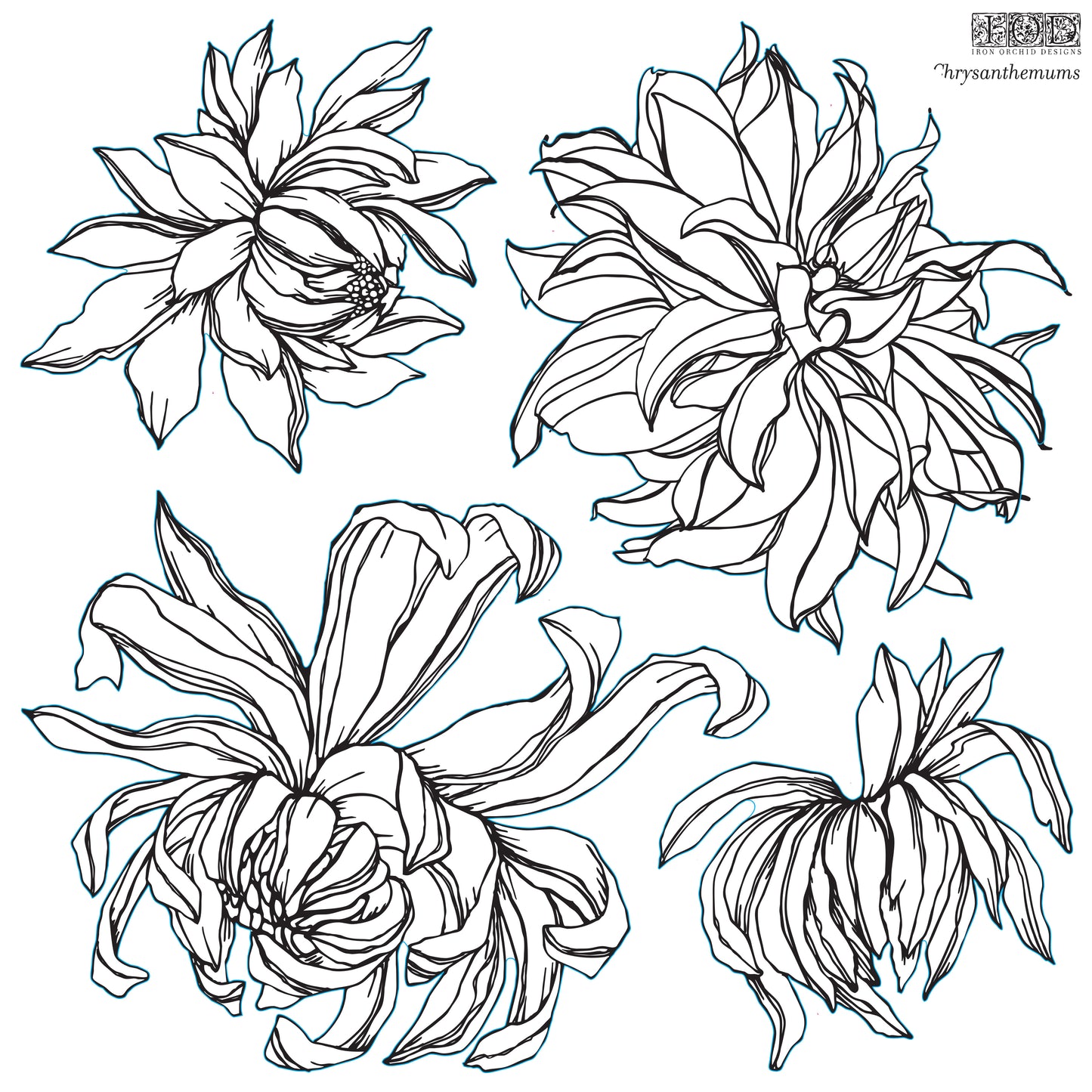 Chrysanthemum 12×12 IOD Stamp (Retired)