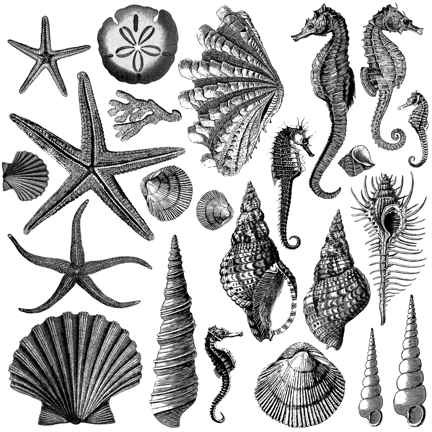 Seashore 12x12 IOD Stamp (Retired)