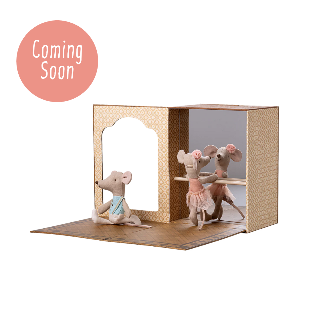 Ballet Mice in Dance Studio, Little Sister and Brother
