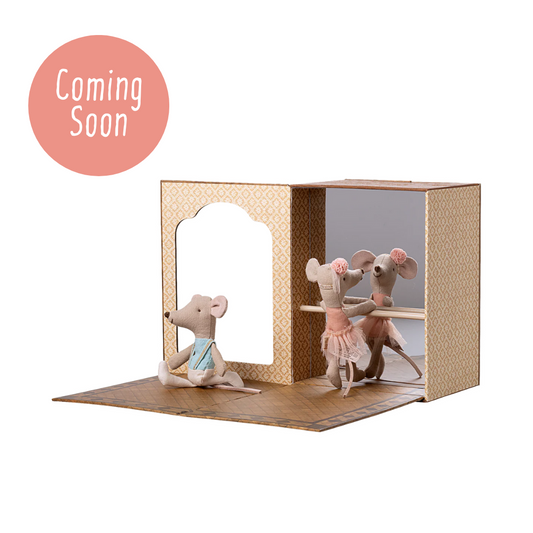 Ballet Mice in Dance Studio, Little Sister and Brother