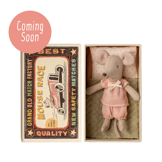 Little Sister Mouse in Matchbox