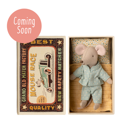 Little Brother Mouse in Matchbox