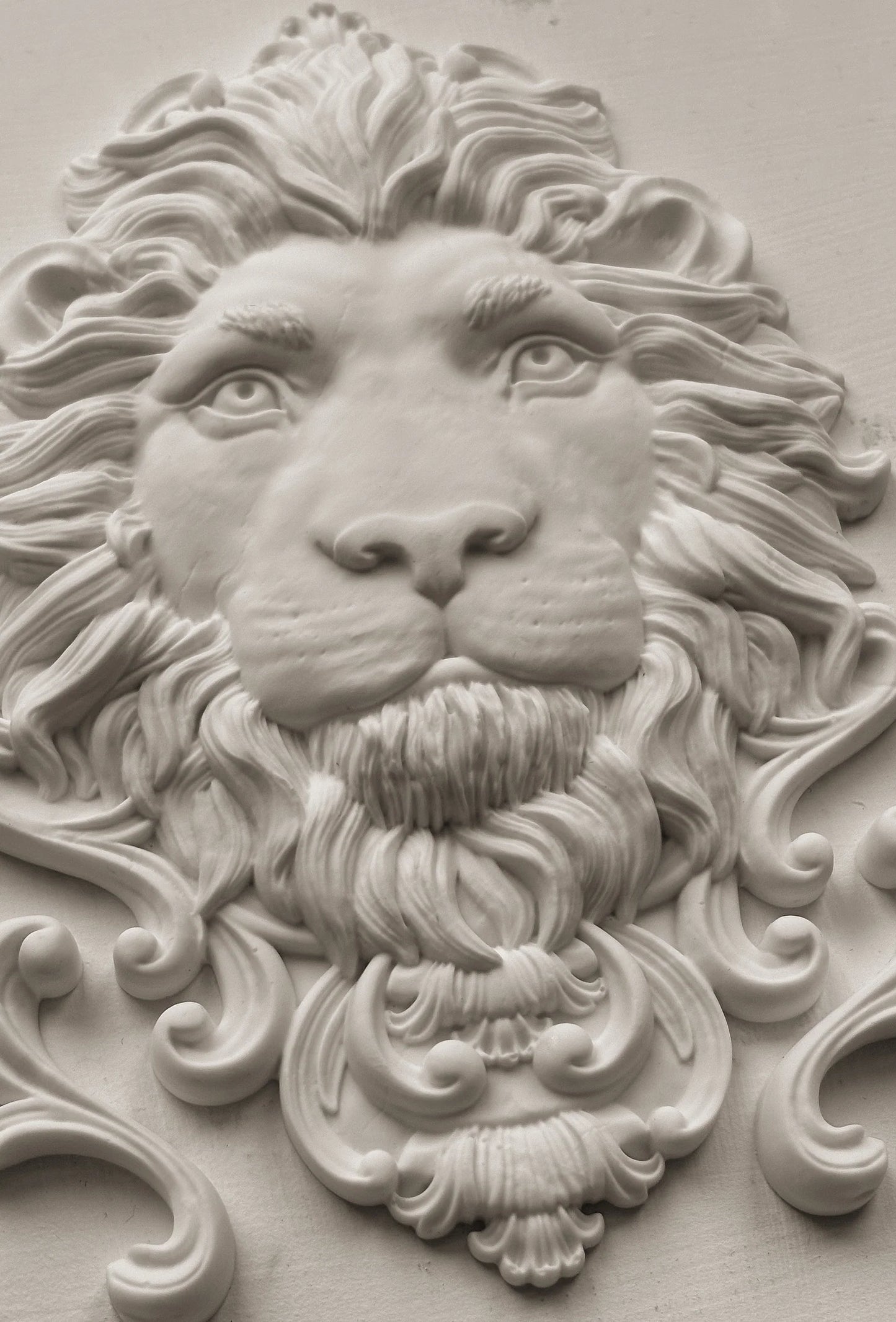 Leonidas 5x7 IOD Mould