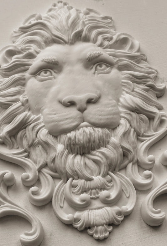 Leonidas IOD 5"x 7" Mould