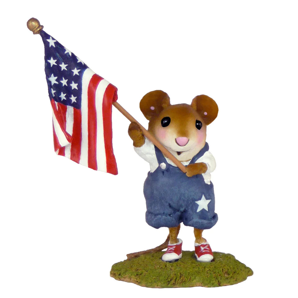 Our Stars & Stripes FB-5a