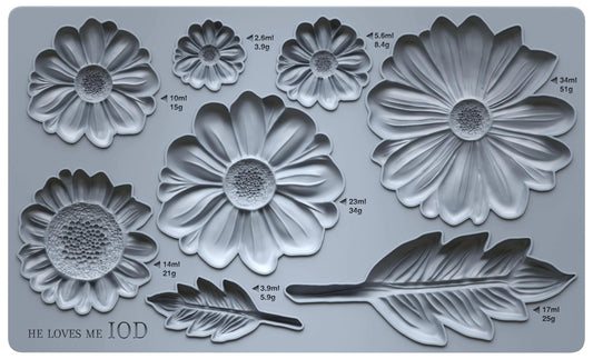 He Loves Me 6x10 IOD Decor Mould