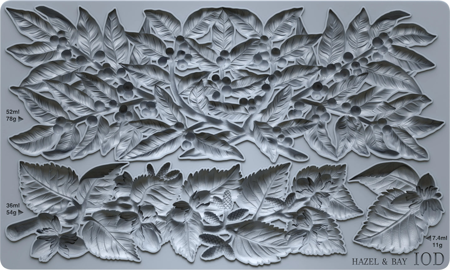 Hazel & Bay IOD 6"x 10" Mould