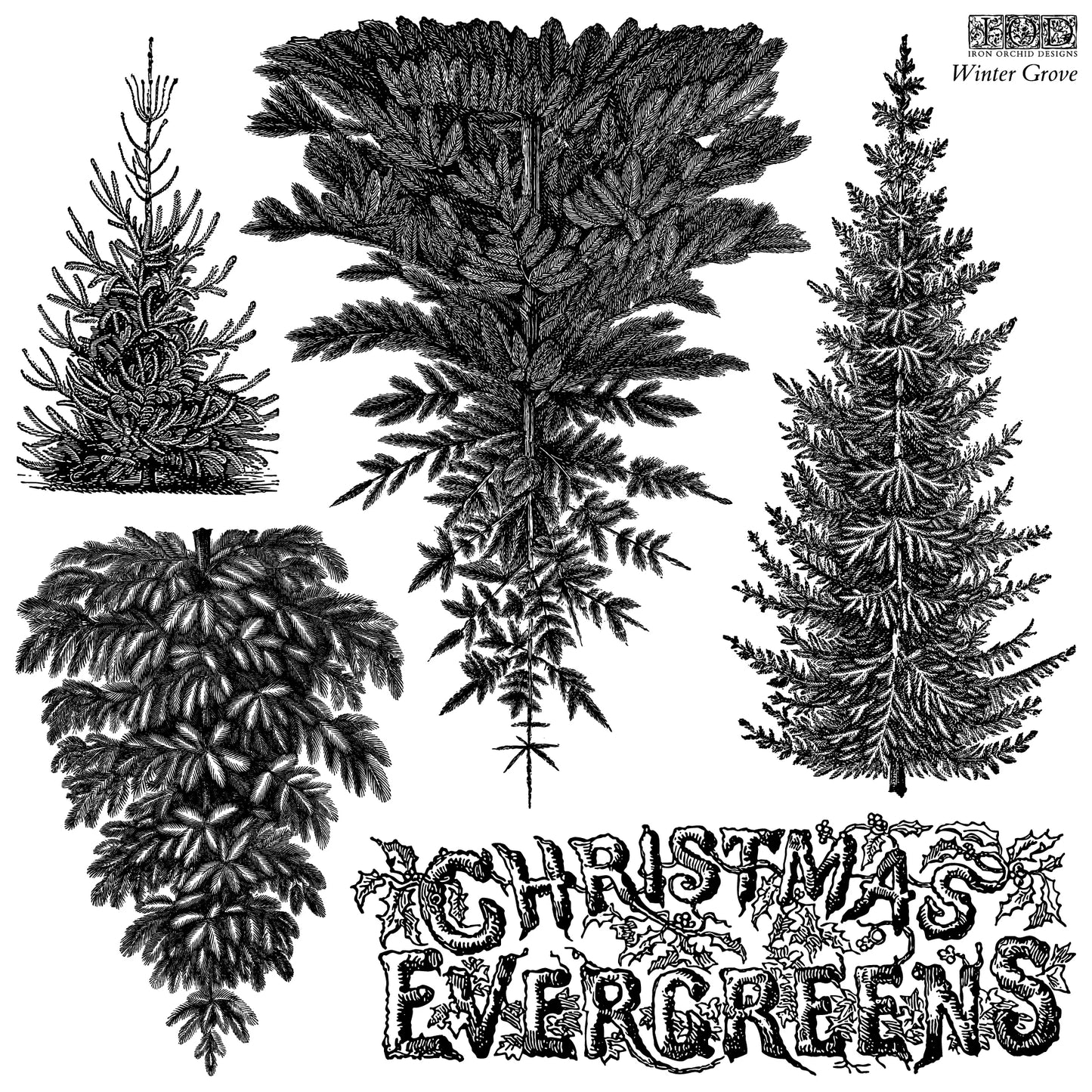 Winter Grove IOD 12"x 12" Stamp