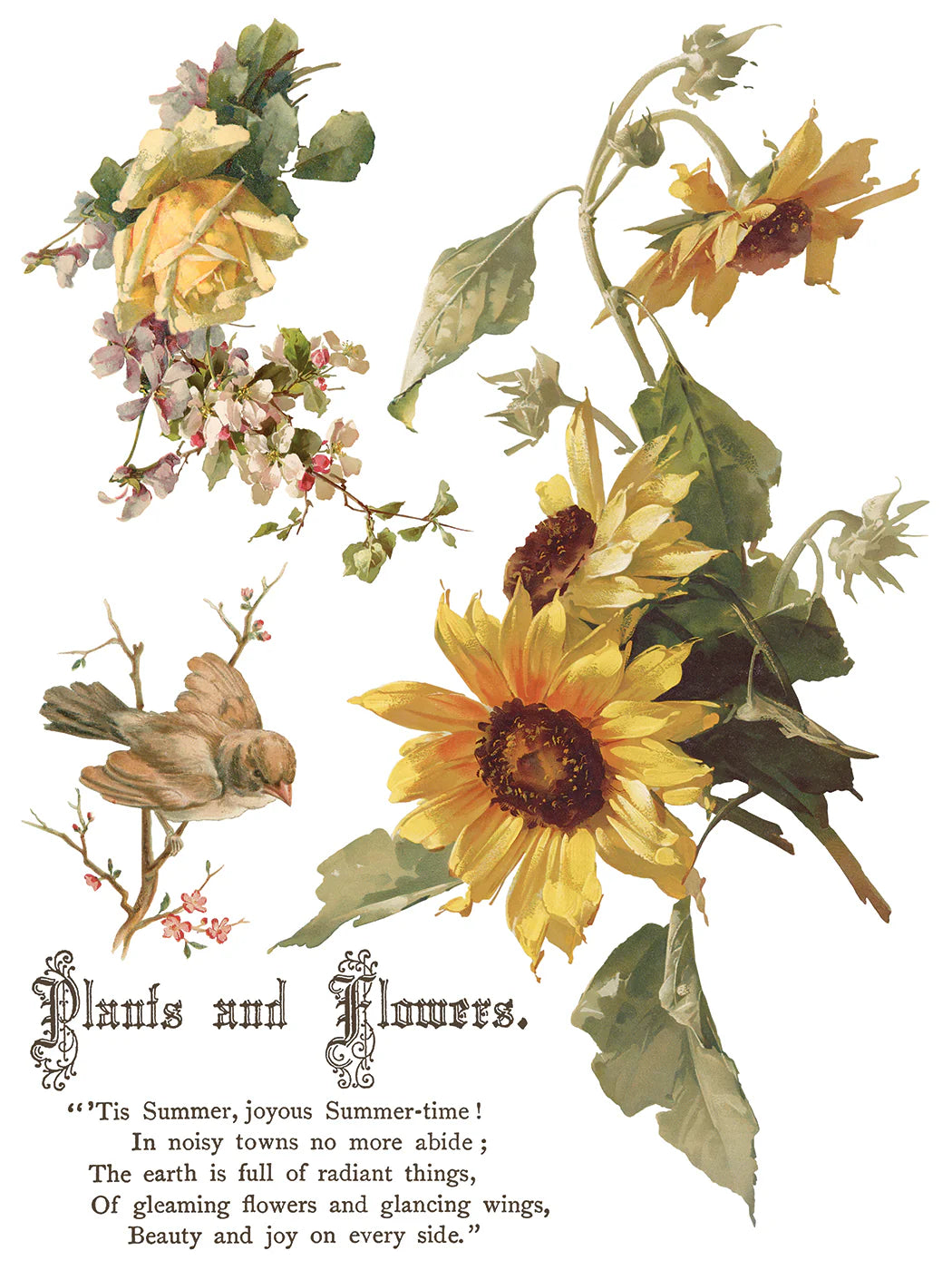 Flowers By The Poets IOD Transfer 12"x 16" Pad