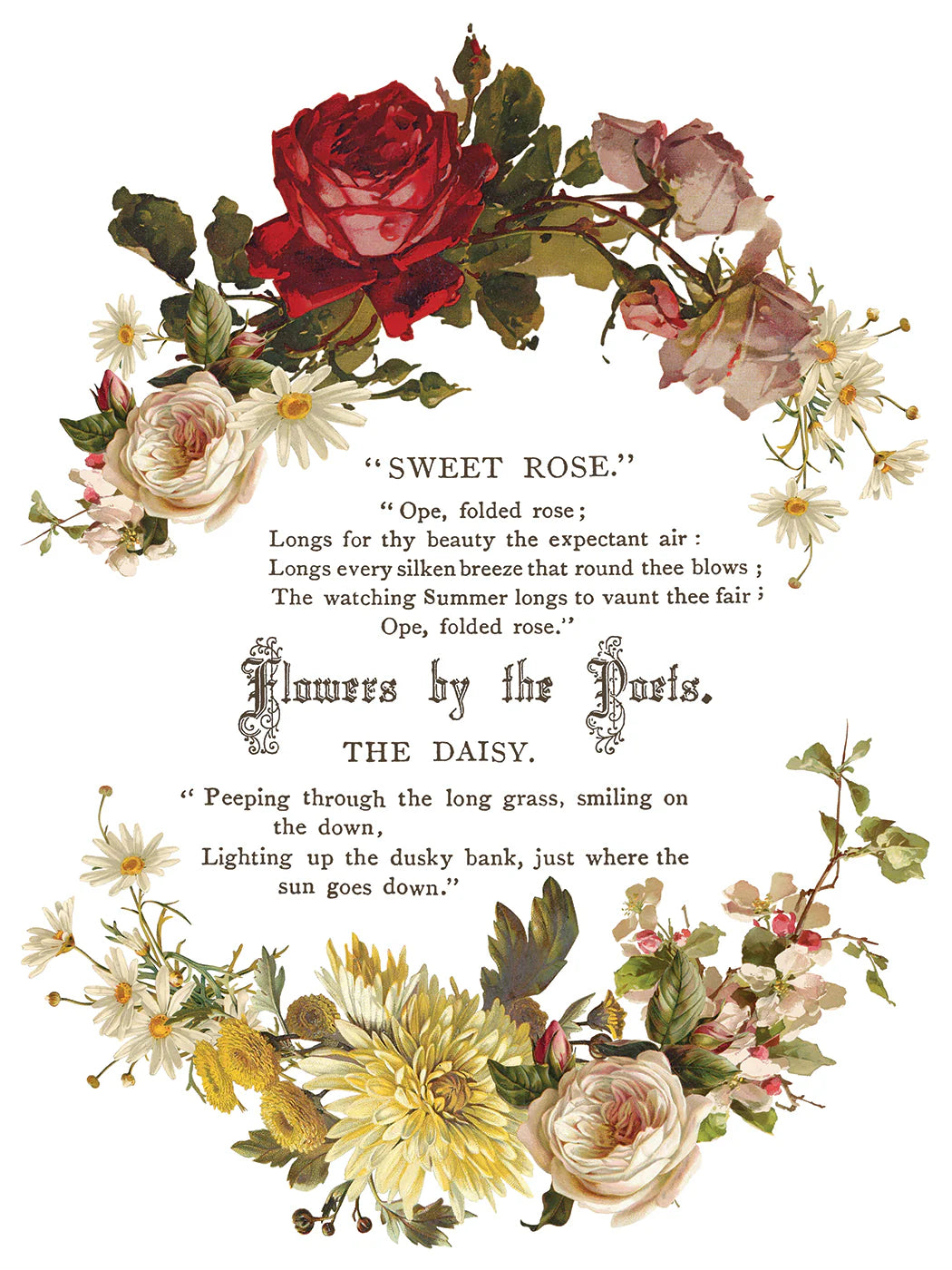 Flowers By The Poets IOD Transfer 12"x 16" Pad