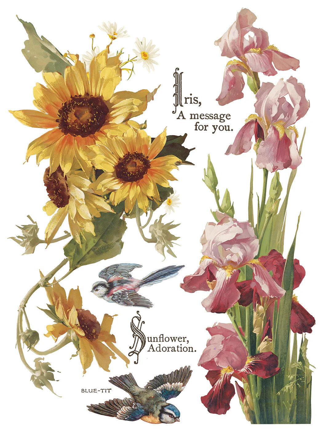 Flowers By The Poets IOD Transfer 12"x 16" Pad