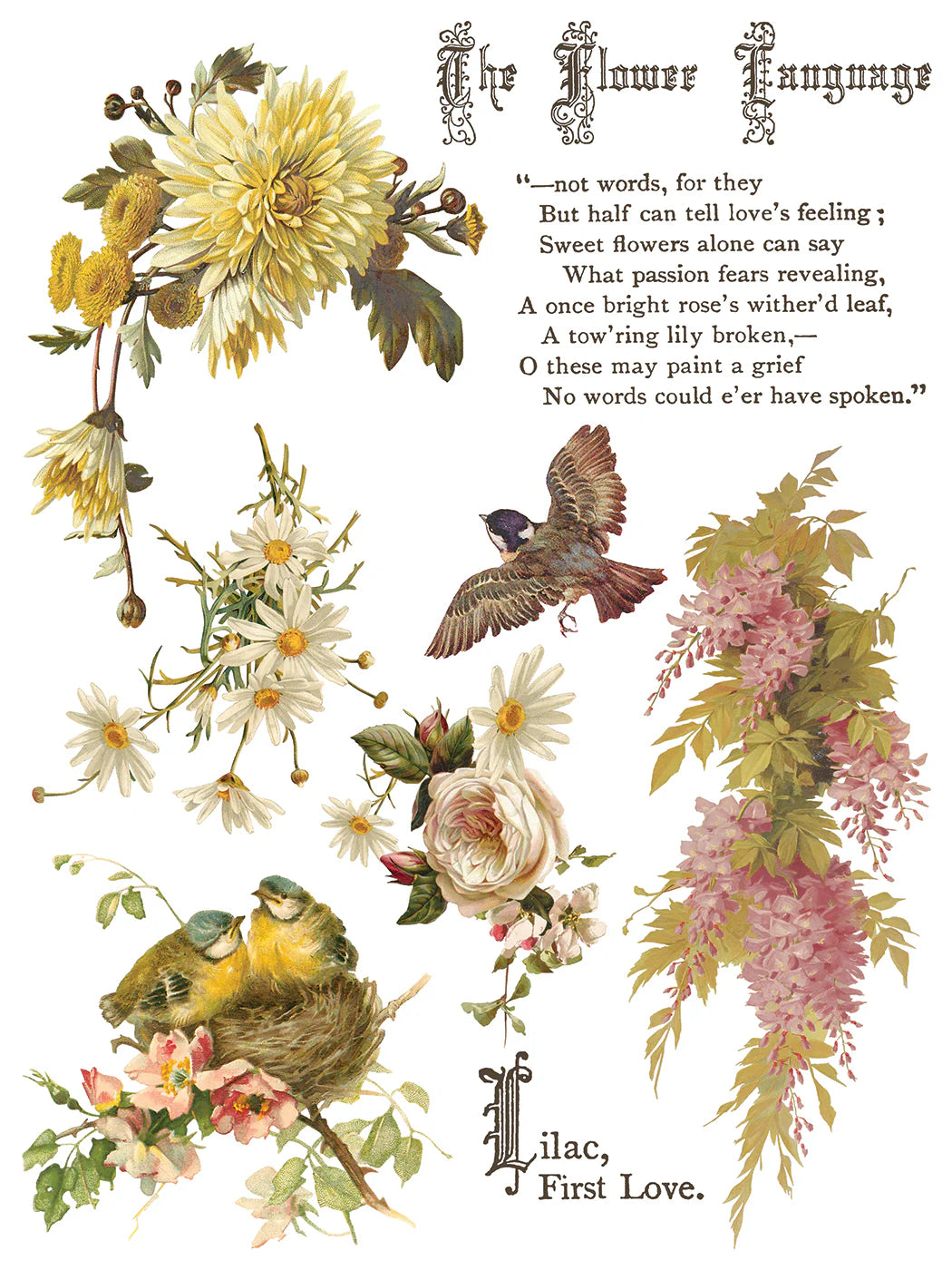 Flowers By The Poets IOD Transfer 12"x 16" Pad