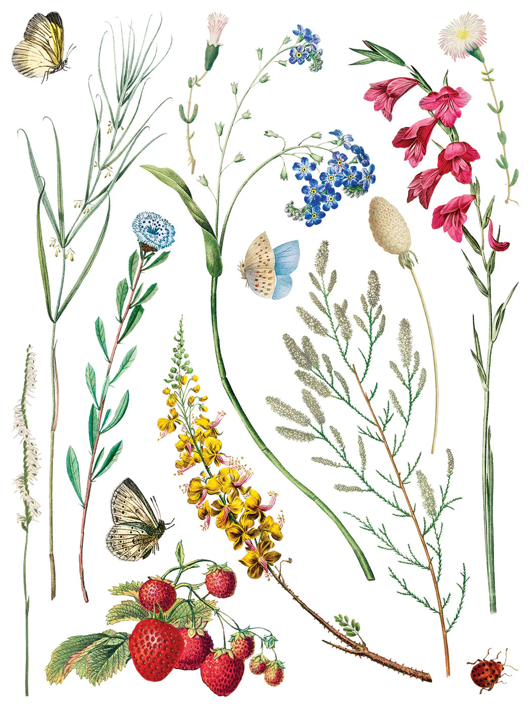 Marché des Fleurs IOD Transfer 12"x 16" Pad