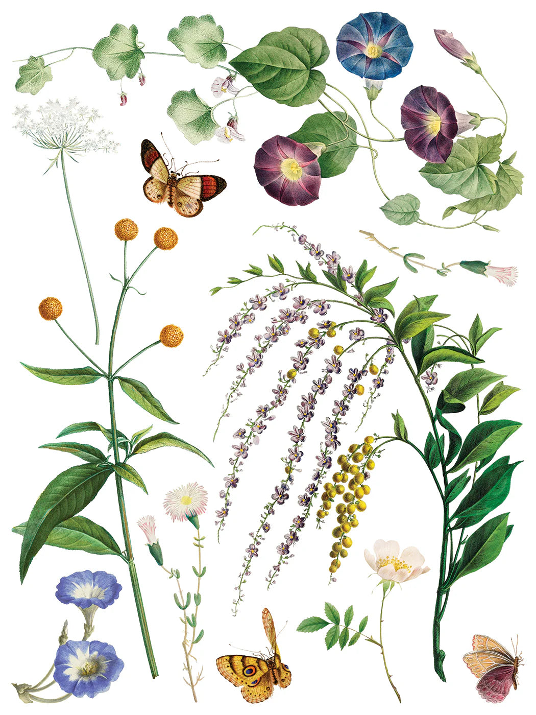 Marché des Fleurs IOD Transfer 12"x 16" Pad