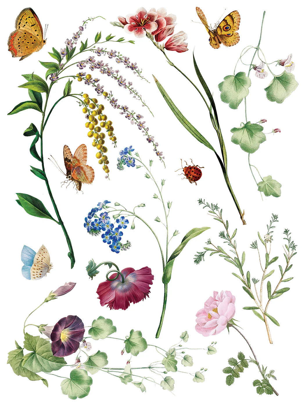 Marché des Fleurs IOD Transfer 12"x 16" Pad