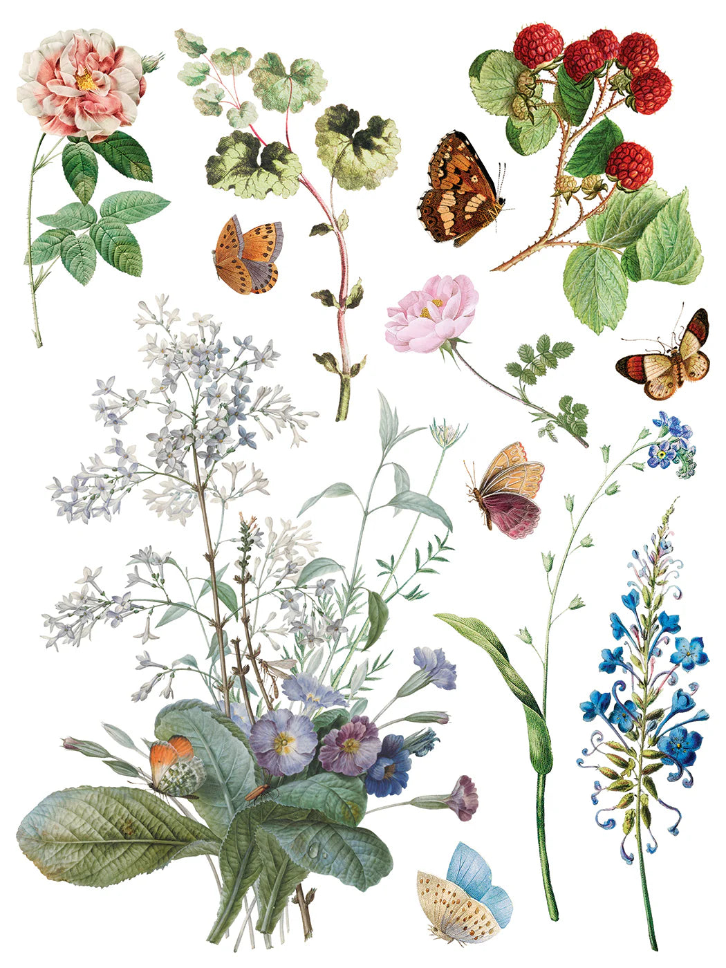 Marché des Fleurs IOD Transfer 12"x 16" Pad