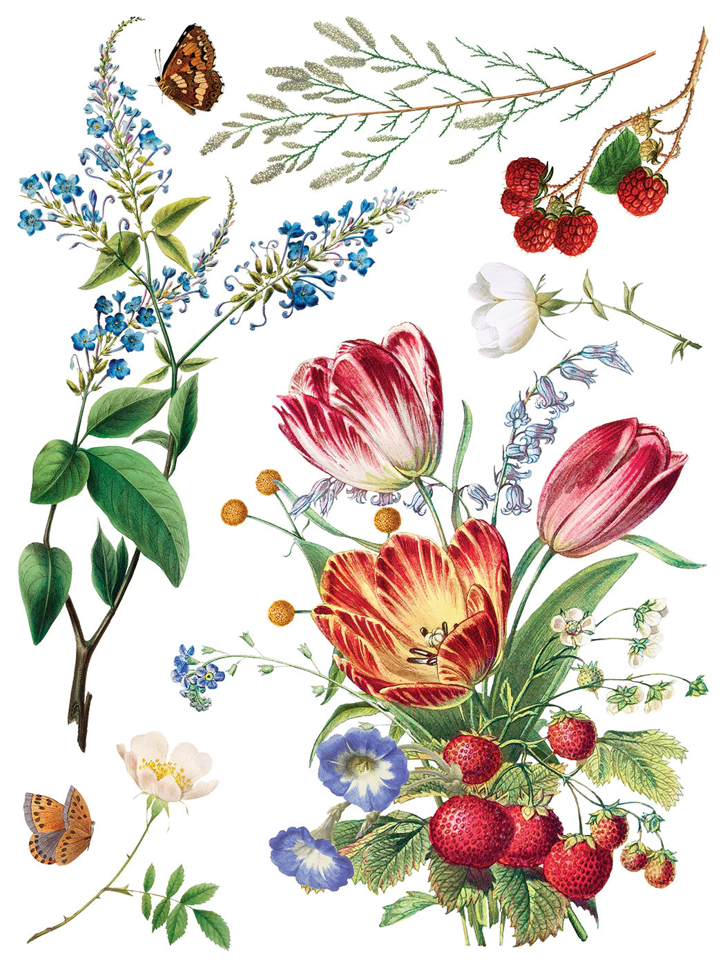 Marché des Fleurs IOD Transfer 12"x 16" Pad