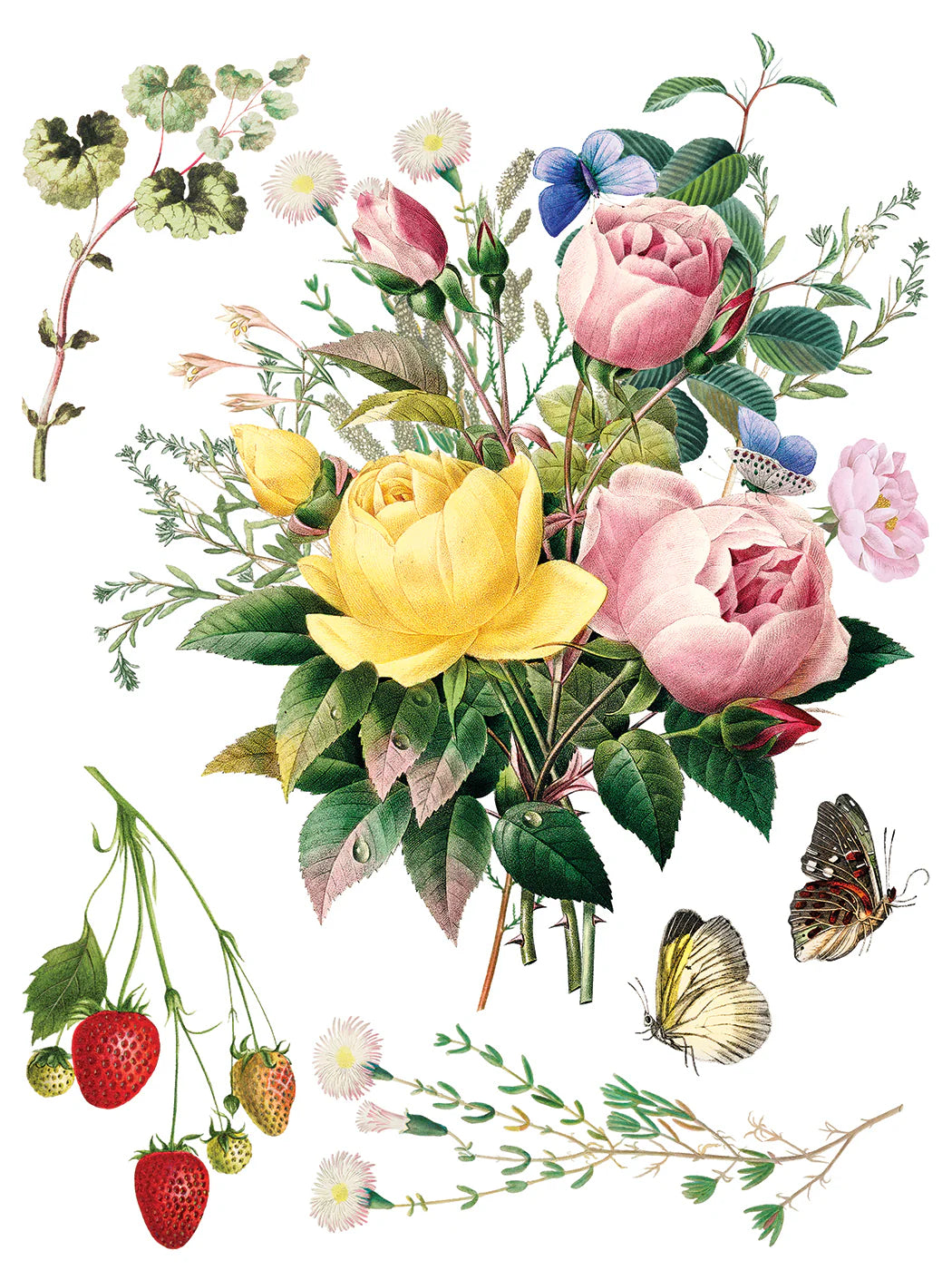 Marché des Fleurs IOD Transfer 12"x 16" Pad