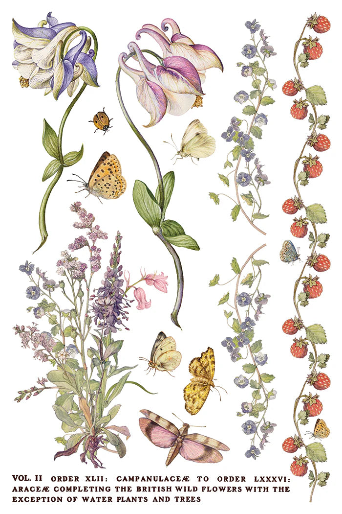 Primrose Isle IOD Transfer 8"x 12" Pad