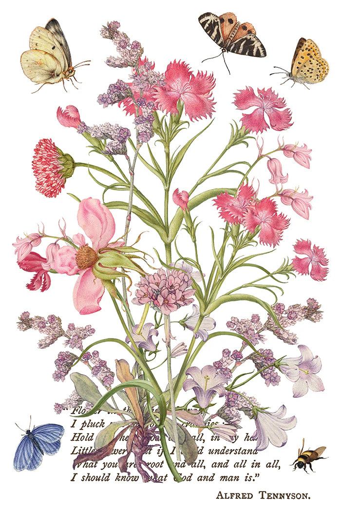 Primrose Isle IOD Transfer 8"x 12" Pad
