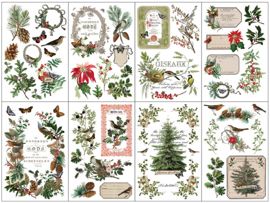 Winter Botanist IOD Transfer 8"x 12" Pad (Retired)