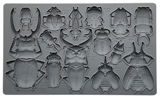 Specimens 6x10 IOD Mould