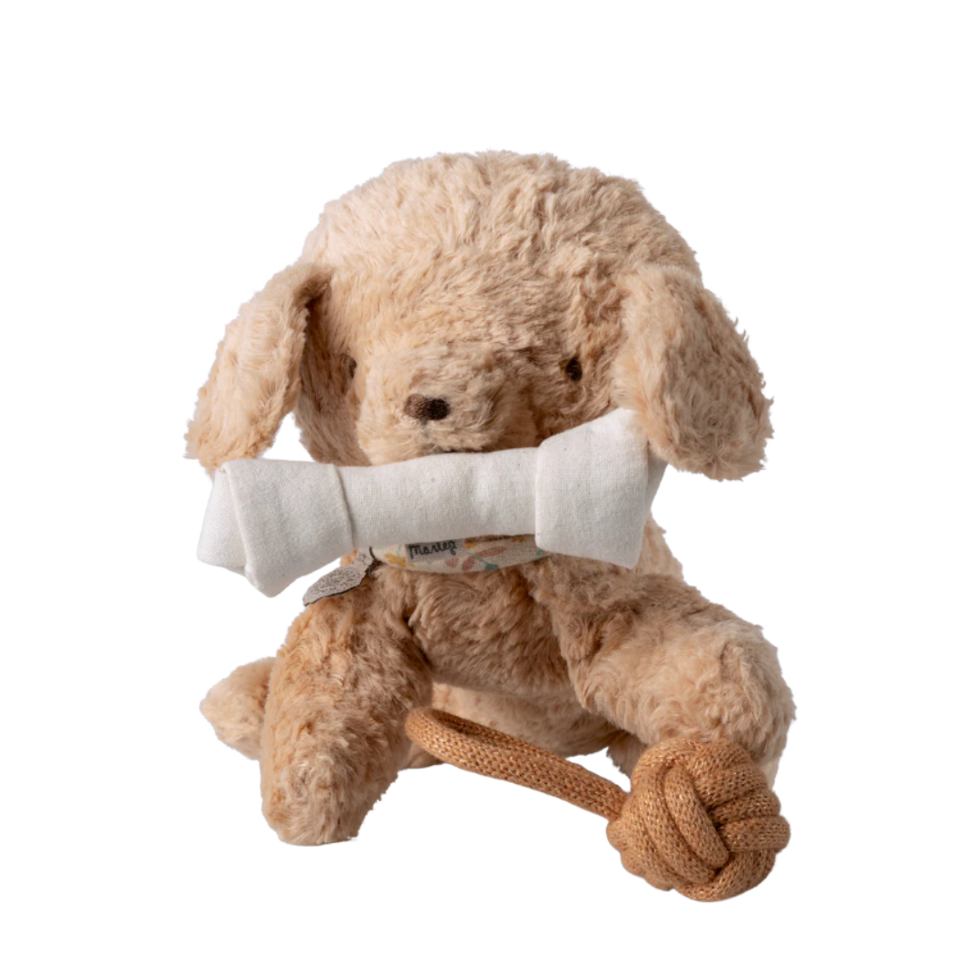 Pet Supply, Toys