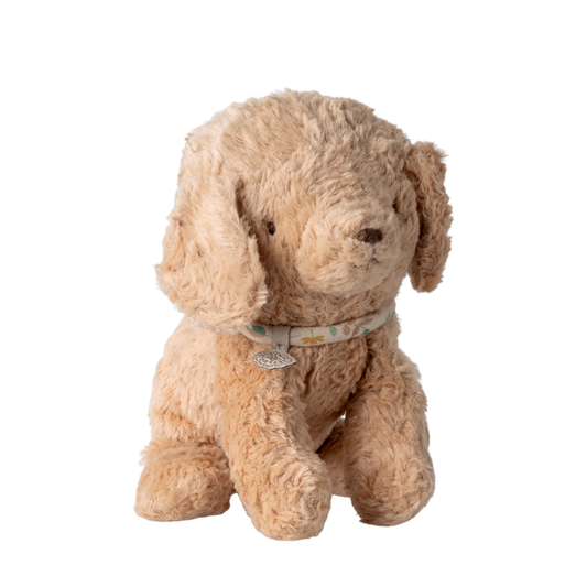 Puppy, Small