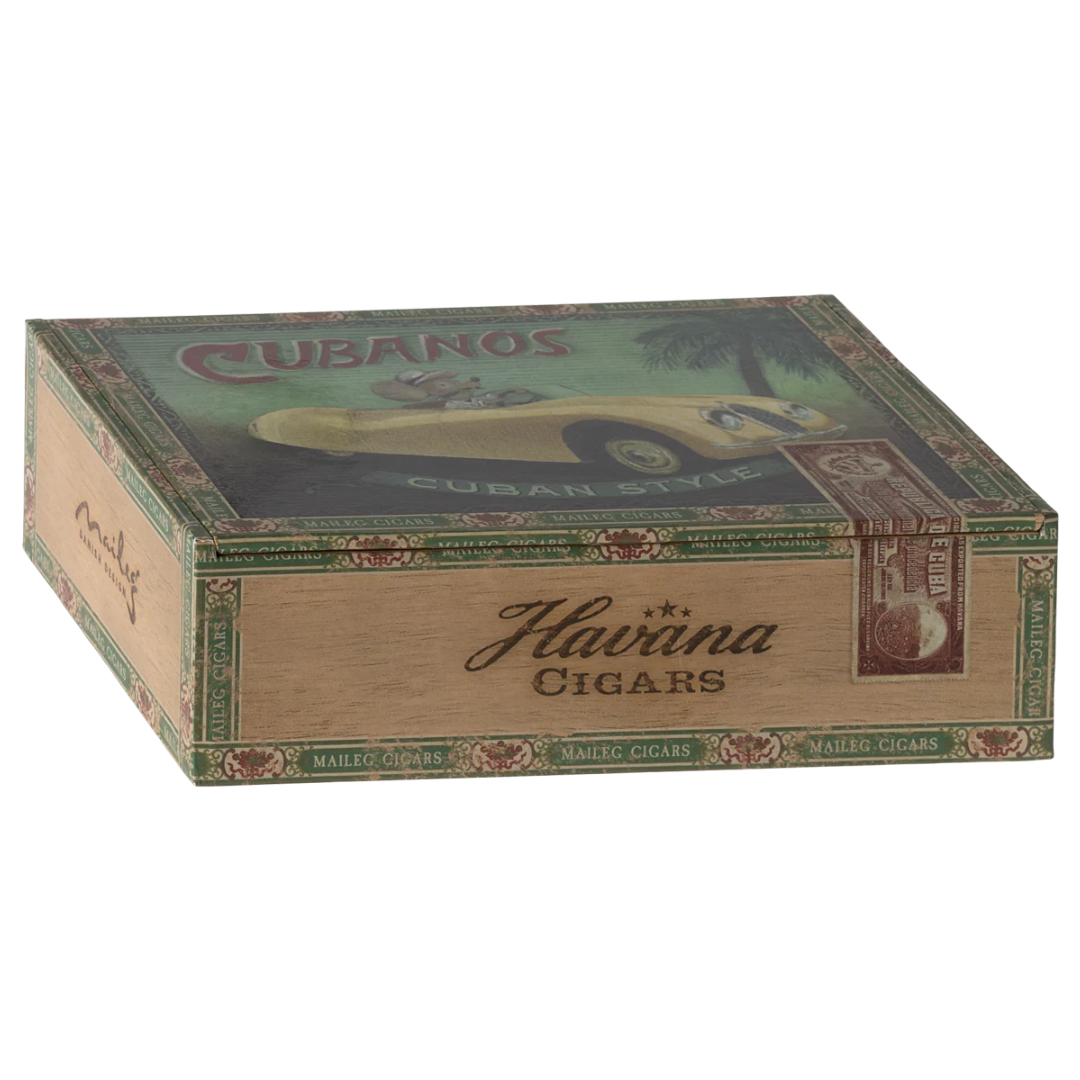 Grandma and Grandpa Mice in Cigarbox