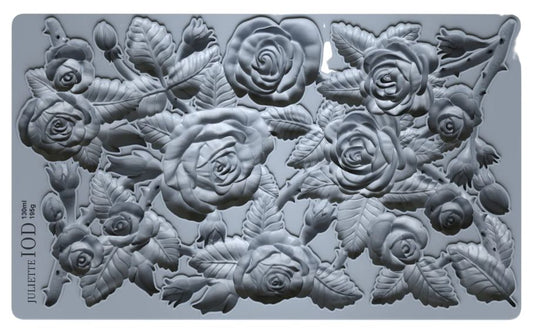Juliette 6x10 IOD Mould